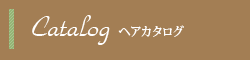 �g�p����I�C��������